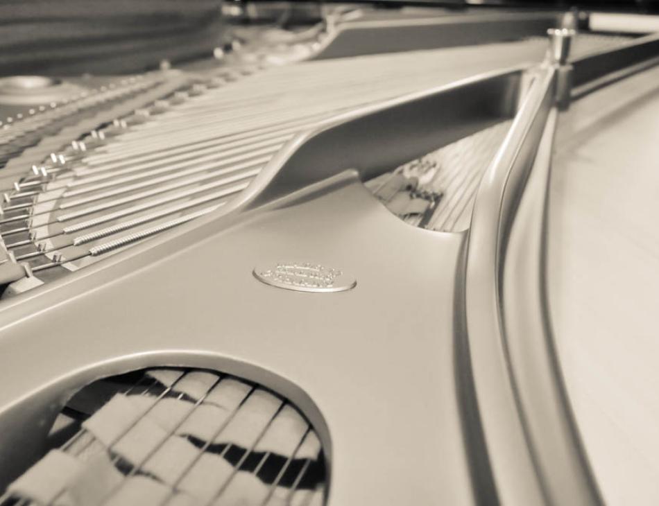 Steinway & Sons Pianos Soundboard